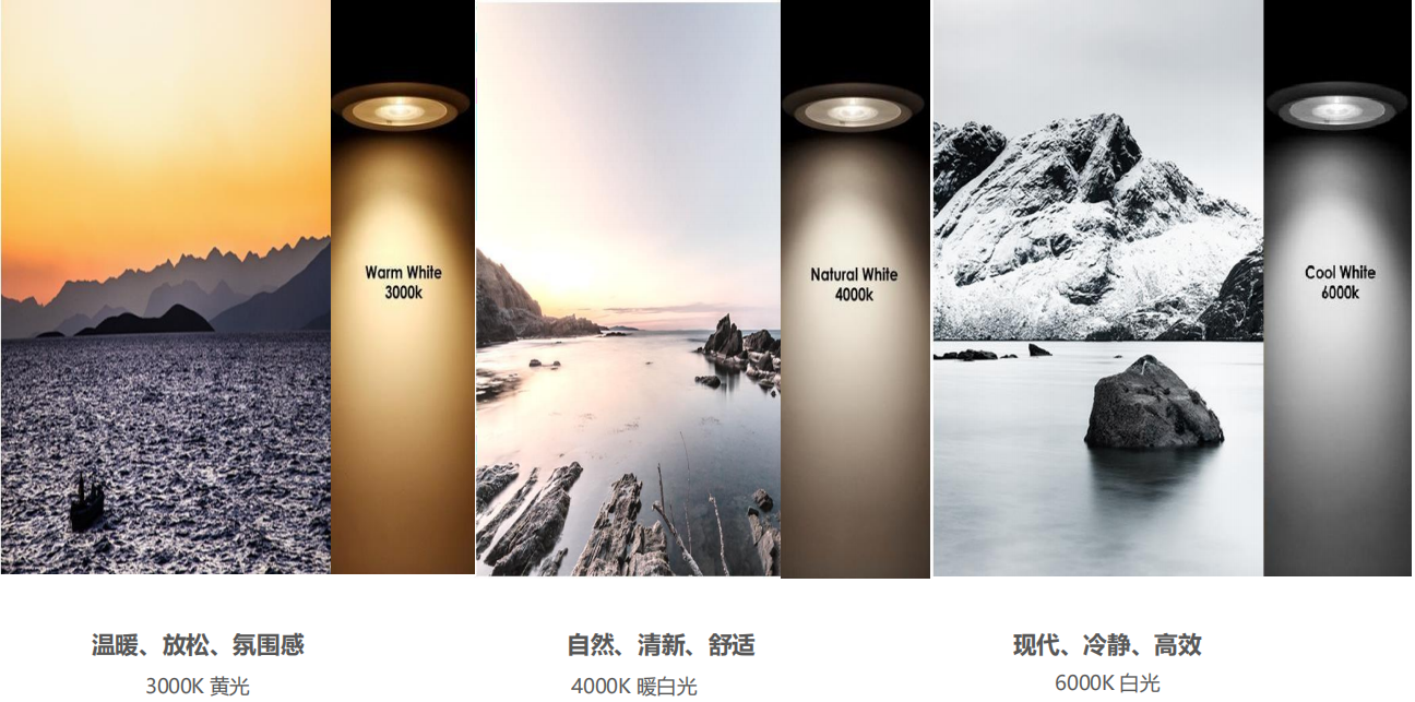 【設(shè)計案例】普照國康醫(yī)藥辦公室項目概念設(shè)計——以空間敘事，筑品牌基因(圖26)