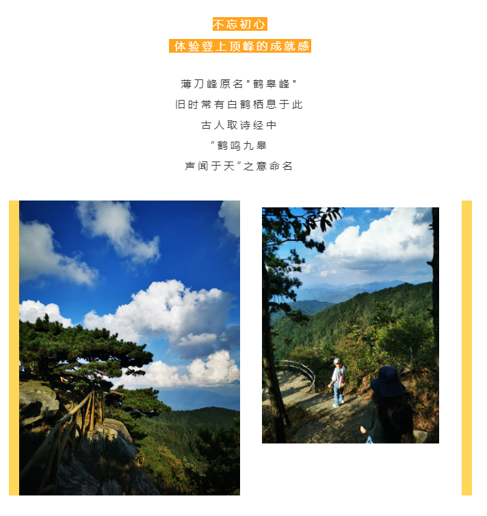 秋天了，來一場成年人的秋游吧(圖2)