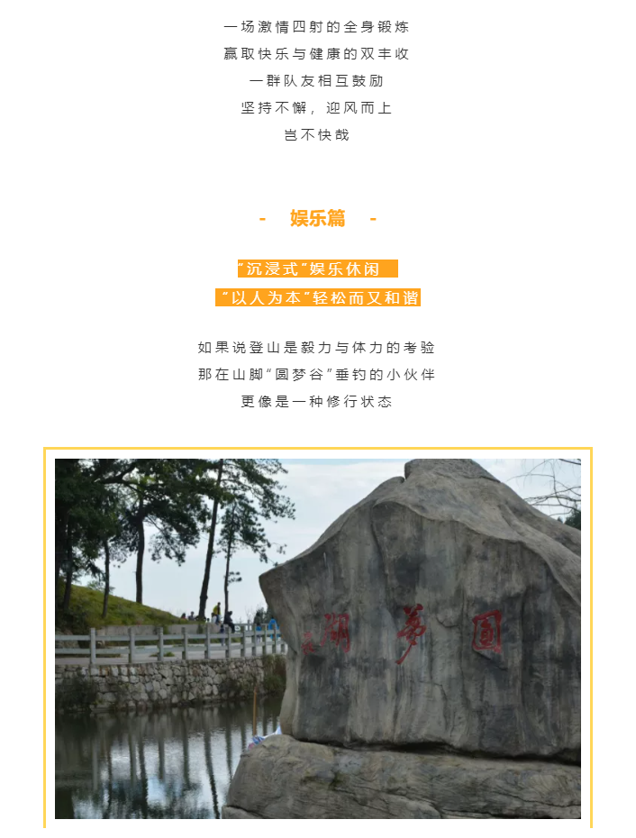 秋天了，來一場成年人的秋游吧(圖4)