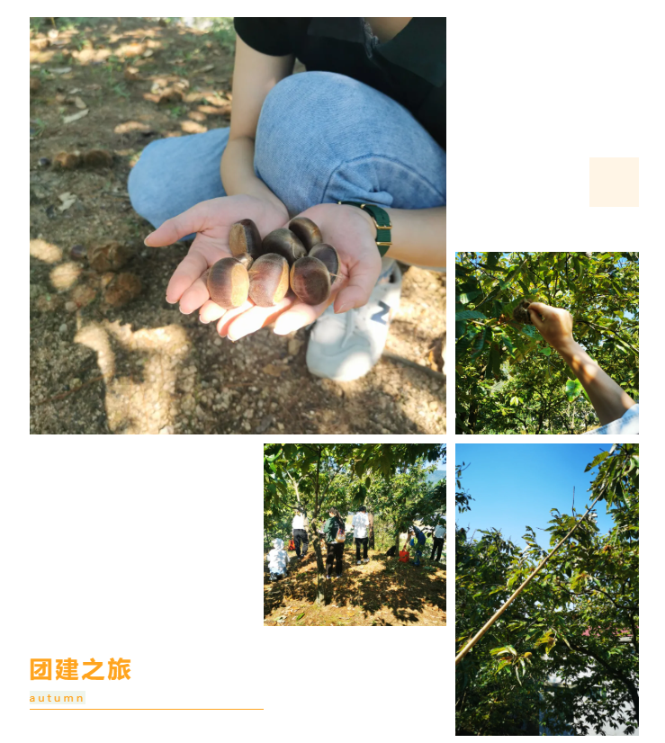 秋天了，來一場成年人的秋游吧(圖6)